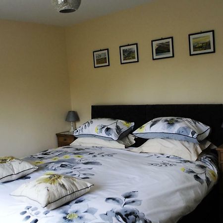 Bro Dafydd Bed & Breakfast Абъристуит Екстериор снимка