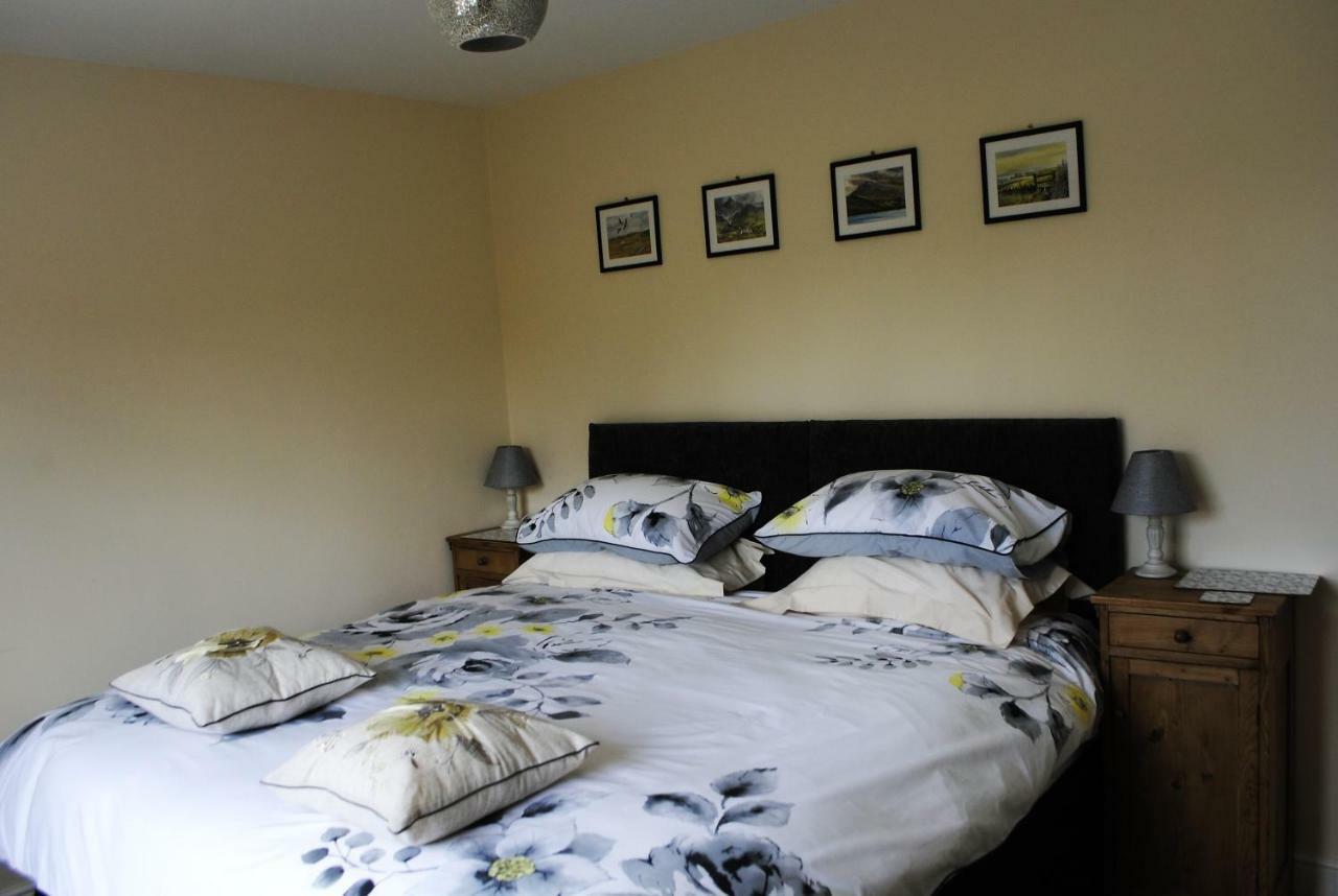 Bro Dafydd Bed & Breakfast Абъристуит Екстериор снимка