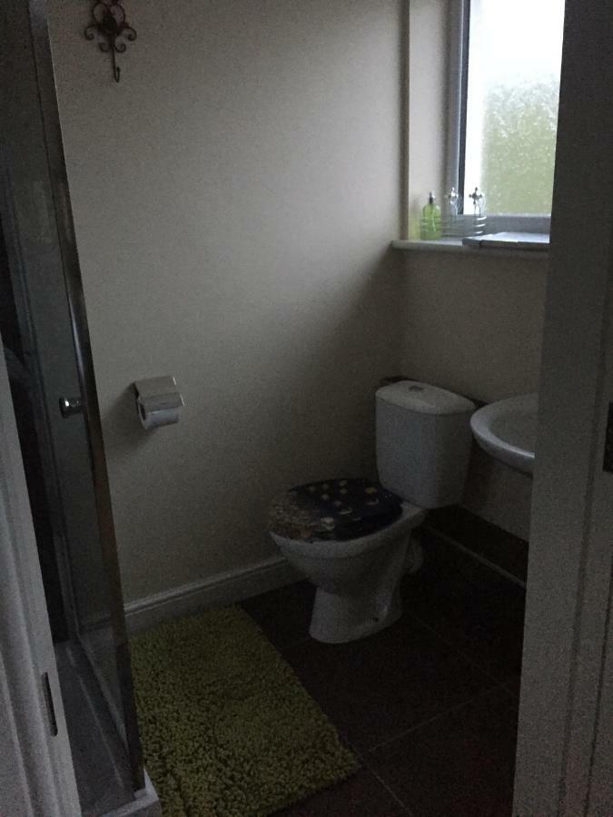 Bro Dafydd Bed & Breakfast Абъристуит Екстериор снимка