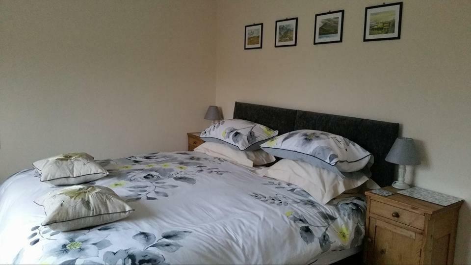 Bro Dafydd Bed & Breakfast Абъристуит Екстериор снимка