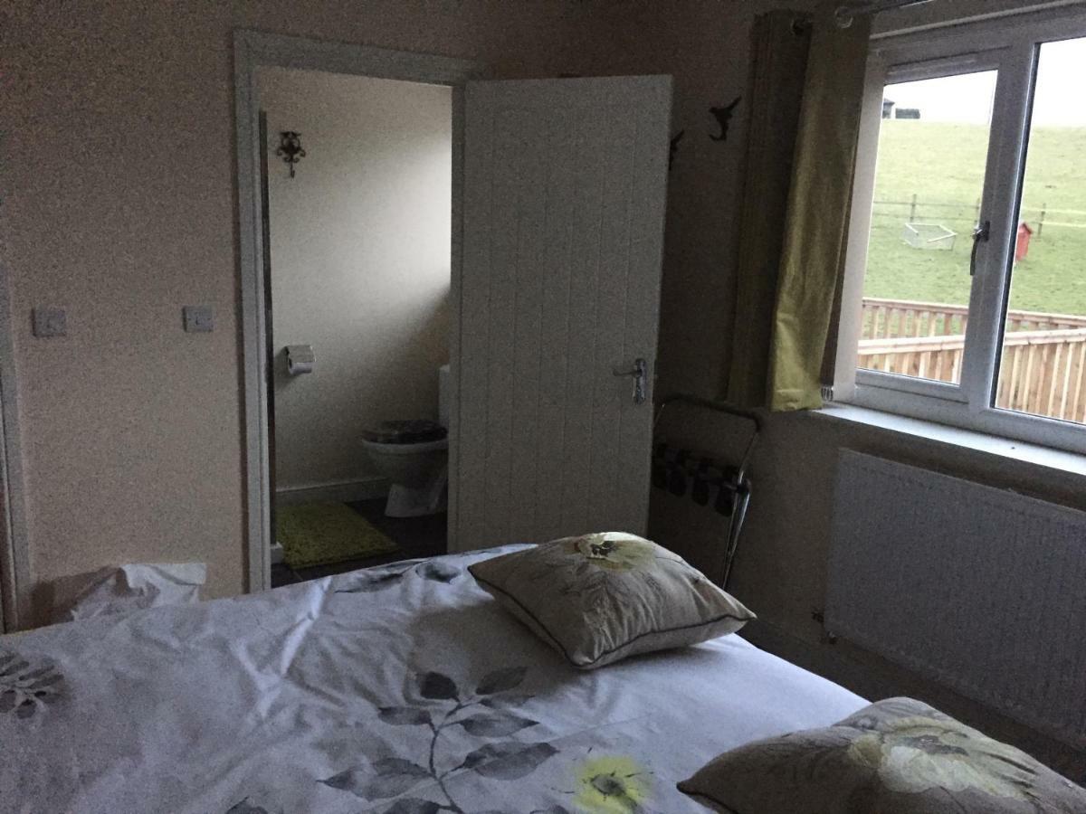 Bro Dafydd Bed & Breakfast Абъристуит Екстериор снимка